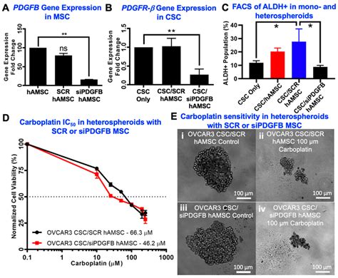 CSC Platinum Resistance And CSC Enrichment Can Be Reduced With PDGFB