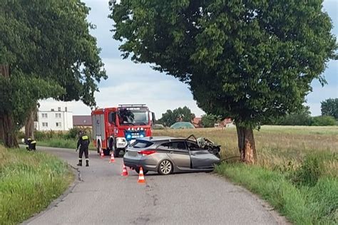 Hyundai uderzył w drzewo Jego kierowca był pijany i nie miał uprawnień