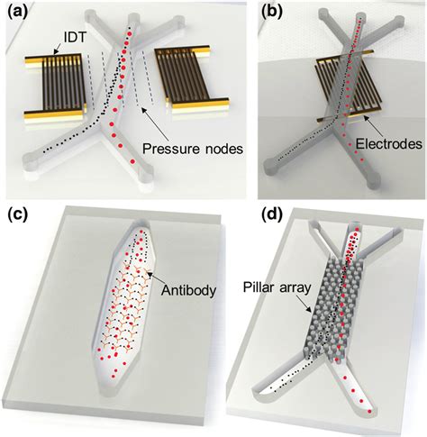 Schematic Depiction Of Examples Of Microfluidic Exosome Isolation