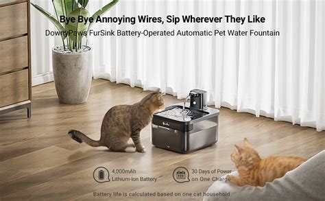 Amazon Downypaws Battery Operated Cat Water Fountain Oz L