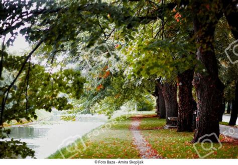 Vilsonovo šetalište preuzmite fotografiju Foto Baza