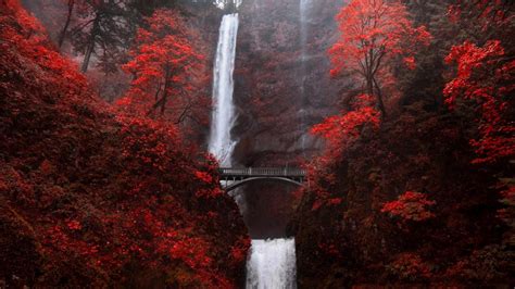 Multnomah Falls Waterfall Bridge In Autumn Red Portland Oregon Usa