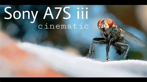 Sony A7s Iii Cinematic Footage YouTube