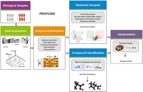 Untargeted Metabolomics Workflows Thermo Fisher Scientific KR