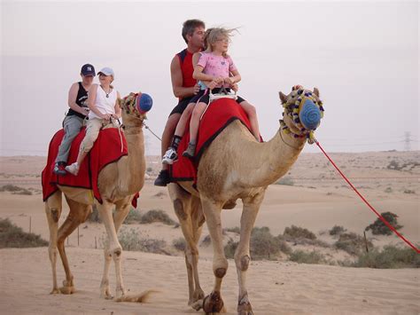 Dubai Desert Safari And Camel Rides Fancy A Thrilling X Flickr