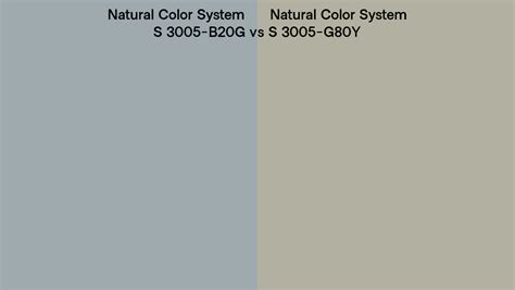 Natural Color System S 3005 B20g Vs S 3005 G80y Side By Side Comparison