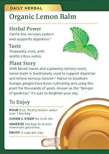 Traditional Medicinals Organic Lemon Balm Herbal Tea Pack Calms