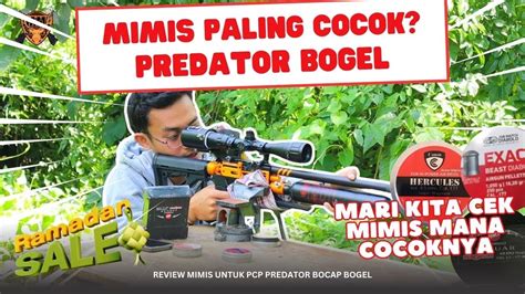 Mimis Paling Cocok Untuk Senapan Angin Pcp Predator Bocap Bogel