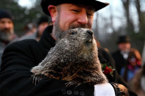 Why Were Groundhogs Picked To Predict The Weather