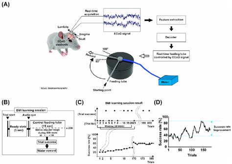 Brain-machine Interface (BMI) learning session. (A) ECoG-based BMI... | Download Scientific Diagram