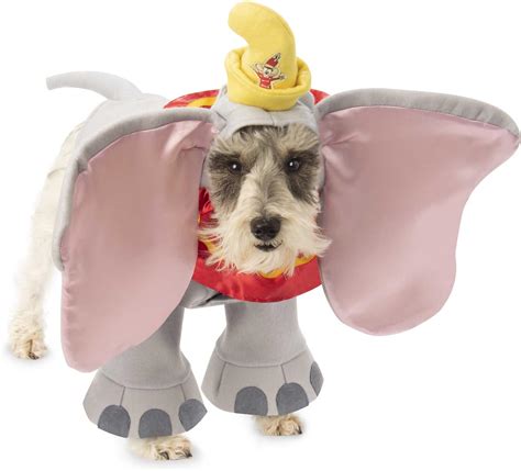 20 Cutest Dog Halloween Costumes - House Fur