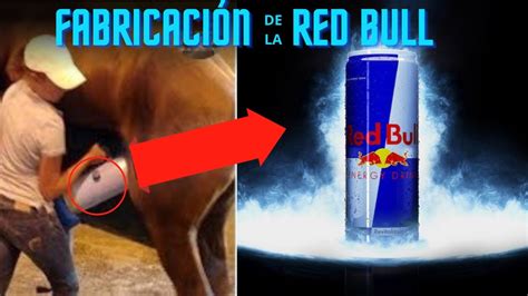 DESCUBRE la CURIOSA FABRICACIÓN de RED BULL YouTube