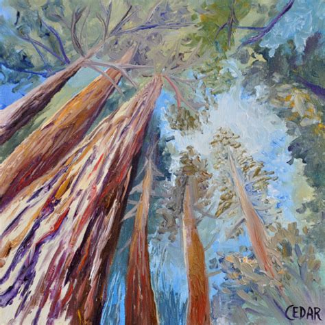 Redwood Forest Painting At Explore Collection Of