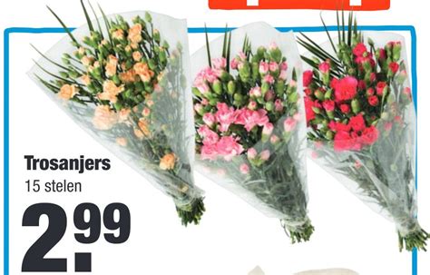 Trosanjers Aanbieding Bij Aldi