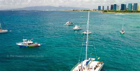 The 5 Best Turtle Canyon Snorkeling Tours from Waikiki - The Hawaii ...