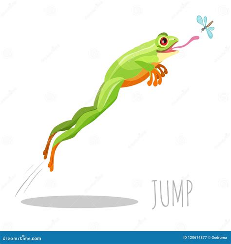 Tree Frog Jumping Drawing