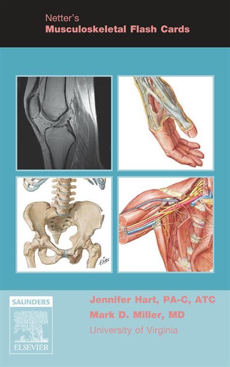 Solution Netters Musculoskeletal Flash Cards E Jennifer Hart Mpas Pa