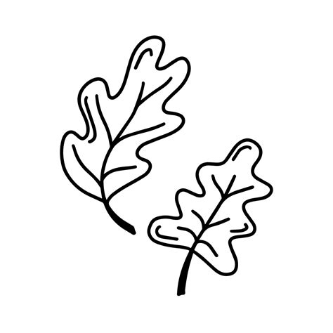 Oak Leaf Coloring Page