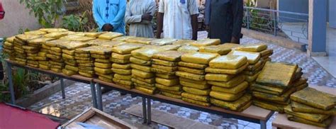 Niger Arrestation Et Saisie De Plus De 278 Kg De Drogue Chez Un