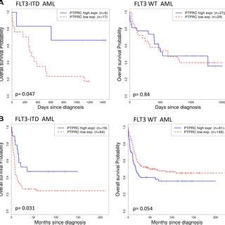 FLT3 ITD Ptprc Mice Develop Extramedullary Haematopoiesis The