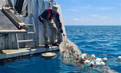 Busting Ghost Nets Haunting The Great Barrier Reef Tangaroa Blue