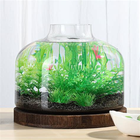 Amazon PONDON 2 Gallon Fish Bowl Vase Glass Plant Terrarium Kit