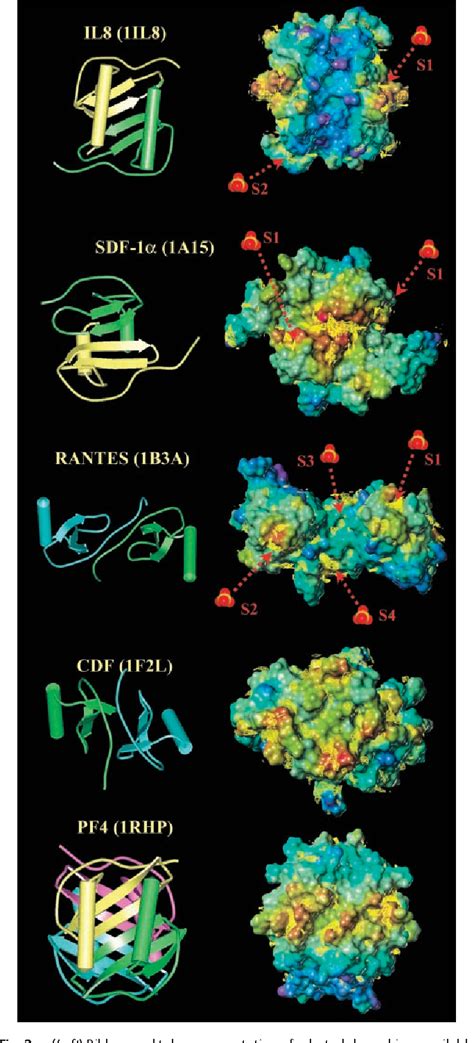 Figure 2 From Structural Diversity Of Heparan Sulfate Binding Domains