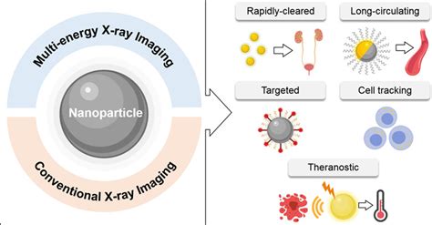 Nanoparticle Contrast Agents For Xray Imaging Applications Hsu