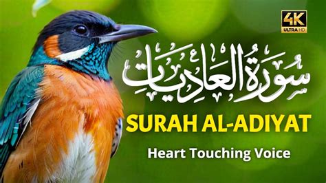 Surah Al Adiyat Surah Adiyat Beautiful Recitation Surah