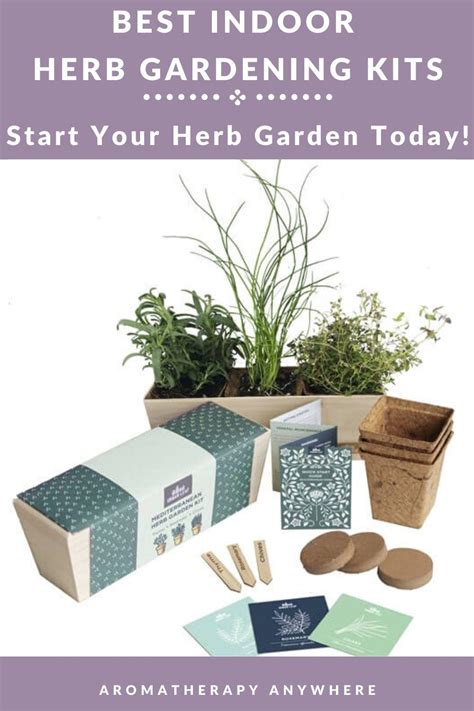 Best Indoor Herb Garden Kits - Grow Herbs All Year Round - Aromatherapy ...