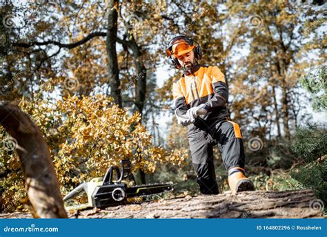 Professioneller Holzf Ller Im Wald Stockfoto Bild Von Kiefer