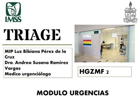 Triage Pérez De La Cruz Luz Bibiana Udocz