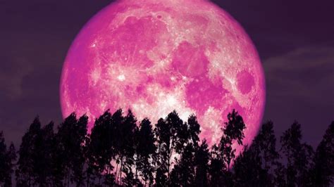 Luna Rosa De Abril Estos Ser N Los Signos Zodiacales M S