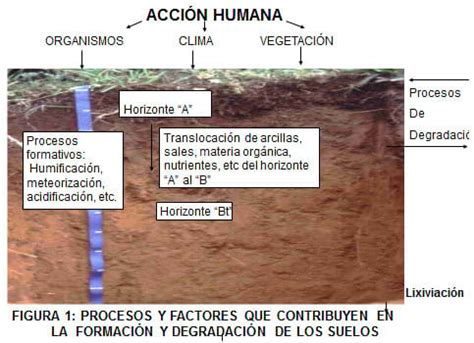 Qué es la degradación del suelo Engormix