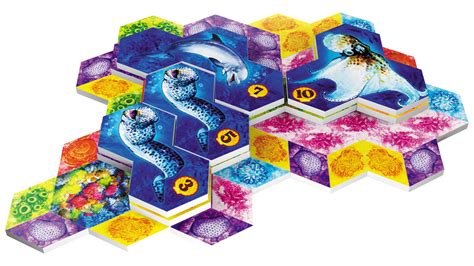 Aqua Is A Deeply Satisfying Board Game About Supporting Sealife