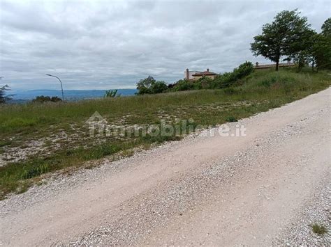 Terreno Edificabile Strada Provinciale Di Fratticiola Selvatica