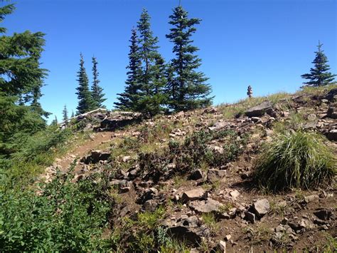 Willamette National Forest Crescent Mountain Trail