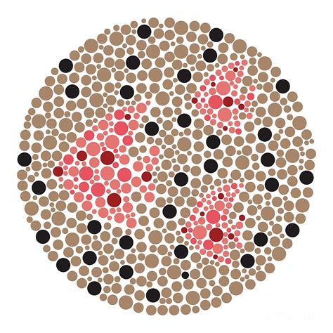 Colour Blindness Test Chart By Chongqing Tumi Technology Ltd