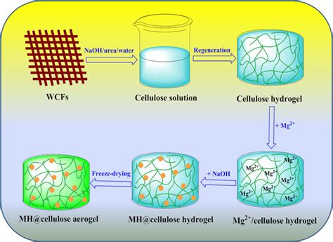 Schematic Illustration Of The In Situ Synthesis Of MH NPs Cellulose