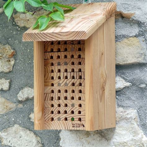 H Tel Abeilles Solitaires Maya