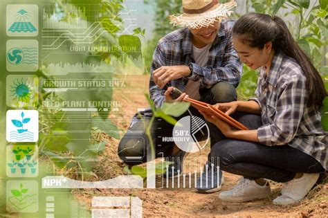 Jovens Casais Cultivando Jardinagem Verificando A Qualidade Juntos Na