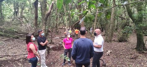 Gesplan Y El Cabildo De Tenerife Facilitan La Realizaci N De Pr Cticas