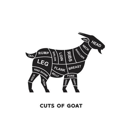 Vector Illustration Guide Meat Cuts Set Goat Butcher Poster Diagrams