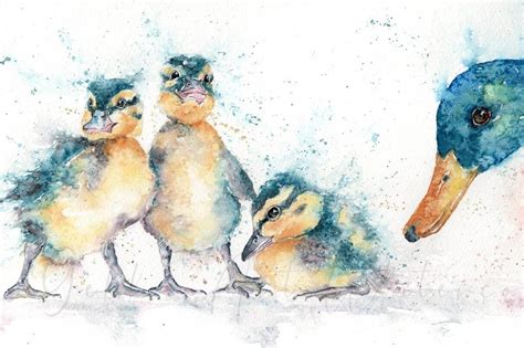 Mallard Duck And Ducklings Watercolour Print Wildlife Artist Sandi