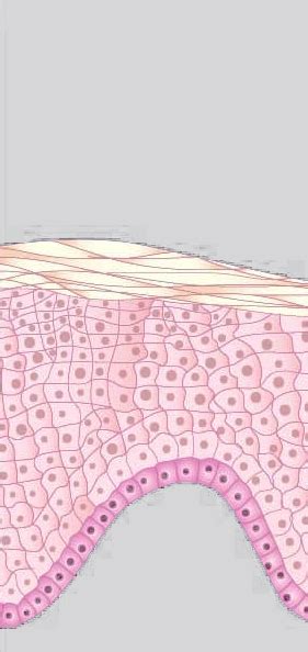 Pdt Photodynamische Therapie Bei Atos Dermatologie