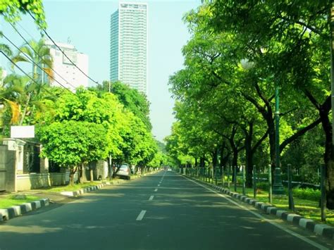 Kelebihan Dan Kekurangan Memiliki Rumah Mewah Pinhome