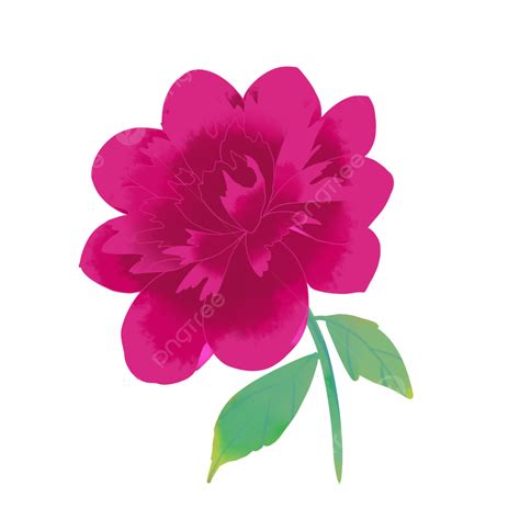 Flowers Blooming Clipart Png Images Blooming Peony Flowers Bloom Red