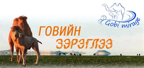 ГОВИЙН ЗЭРЭГЛЭЭ ТӨСӨЛ