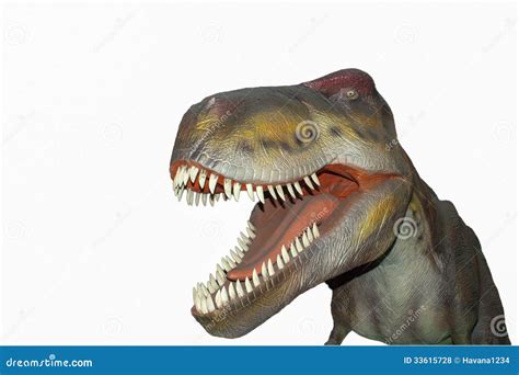 A Scary Isolated Dino Dinosaurs T Rex Stock Photo Image Of Hazardous