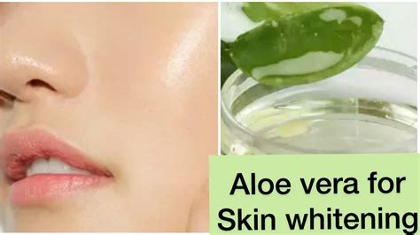 How To Do Aloe Vera Facial To Get Clear Glowing Spotless Skin Naturally